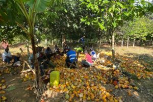 WhatsApp Image 2026-02-16 at 17.51.47 (2)