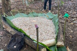 WhatsApp Image 2026-02-16 at 17.51.47 (3)