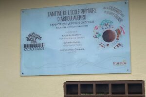 WhatsApp Image 2026-02-16 at 17.51.47